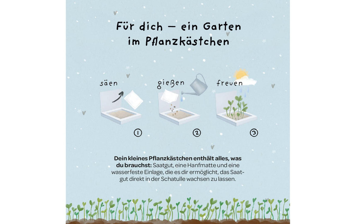 Die stadtgärtner Pflanzenkästchen – Pflanzen & Saatgut – Beige