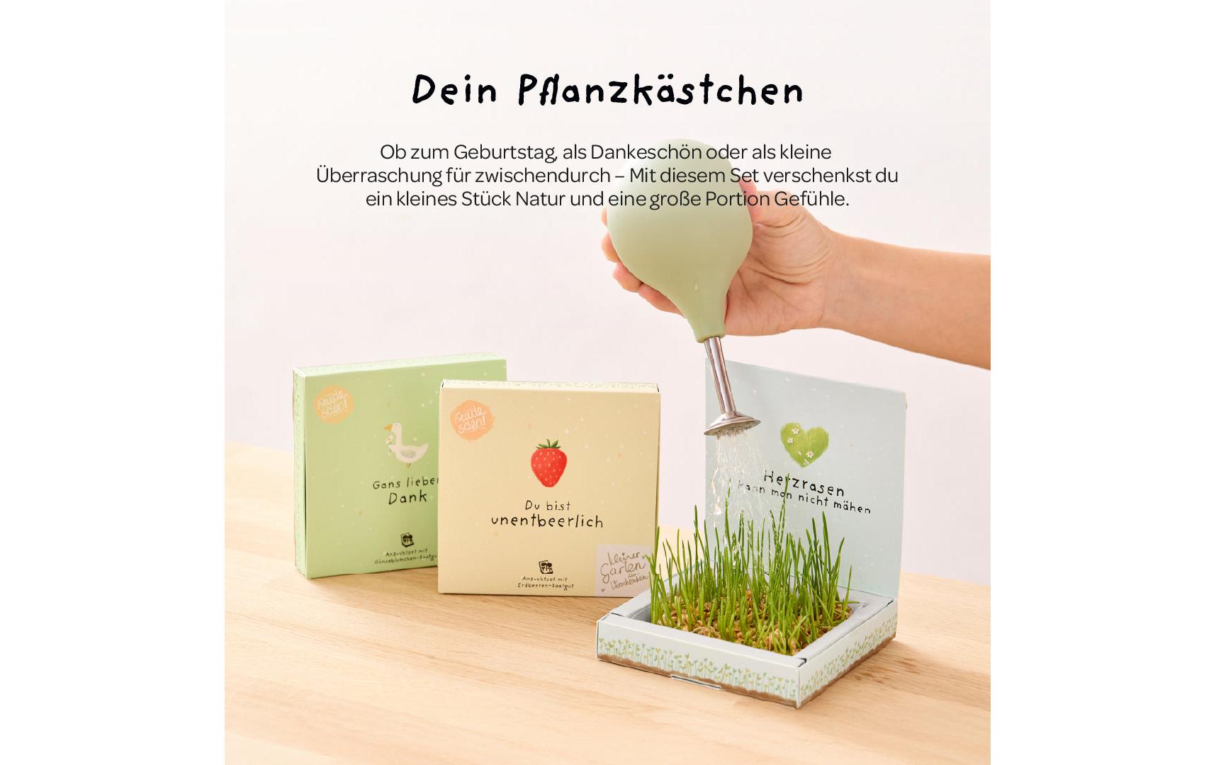 Die stadtgärtner Pflanzenkästchen – Geschenkset Pflanzen & Saatgut – Beige