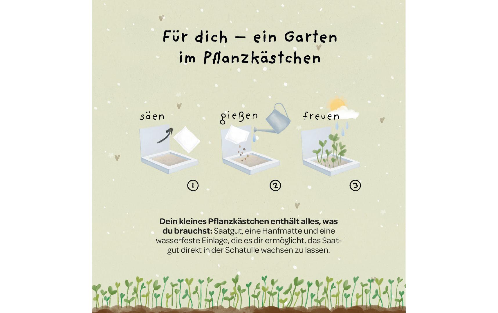 Die stadtgärtner Pflanzenkästchen – Pflanzen & Saatgut – mehrfarbig