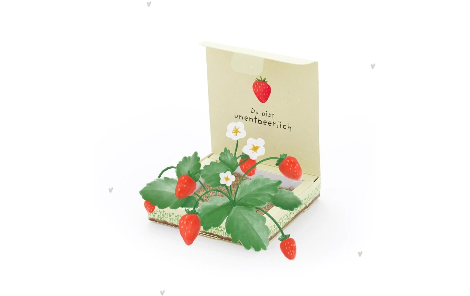 Die stadtgärtner Pflanzenkästchen – Geschenkset Pflanzen & Saatgut – Beige