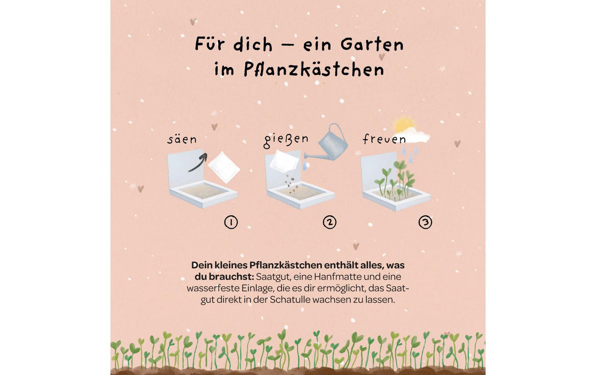 Die stadtgärtner Pflanzenkästchen – Pflanzen und Saatgut – Mehrfarbig