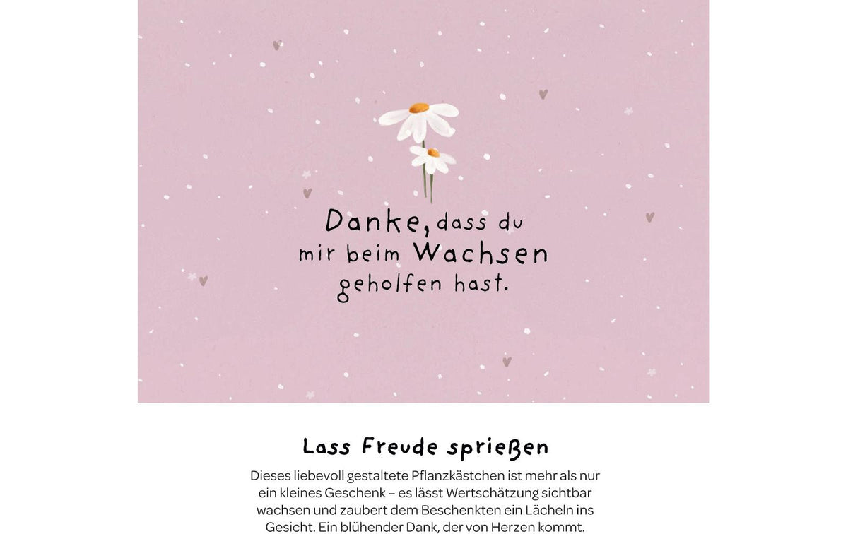 Die stadtgärtner Pflanzenkästchen – Pflanzen und Saatgut – Beige