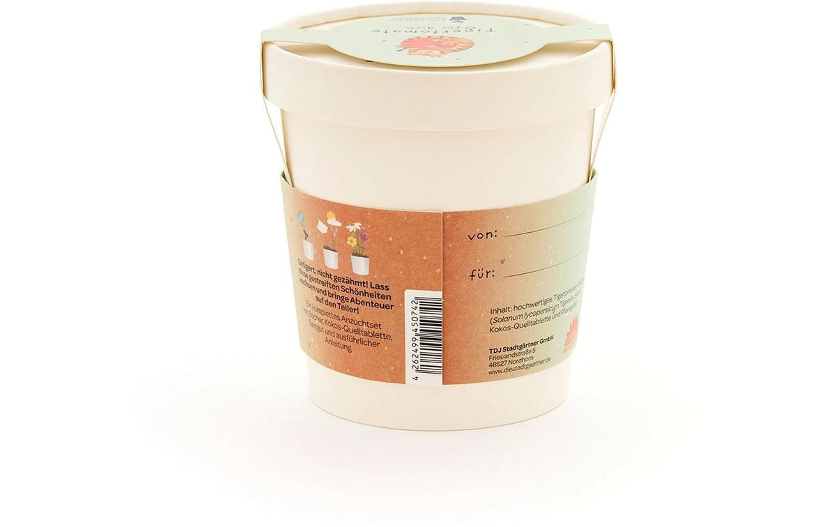 Die stadtgärtner Blumengruss-Becher – Tigertomate – Mehrfarbig
