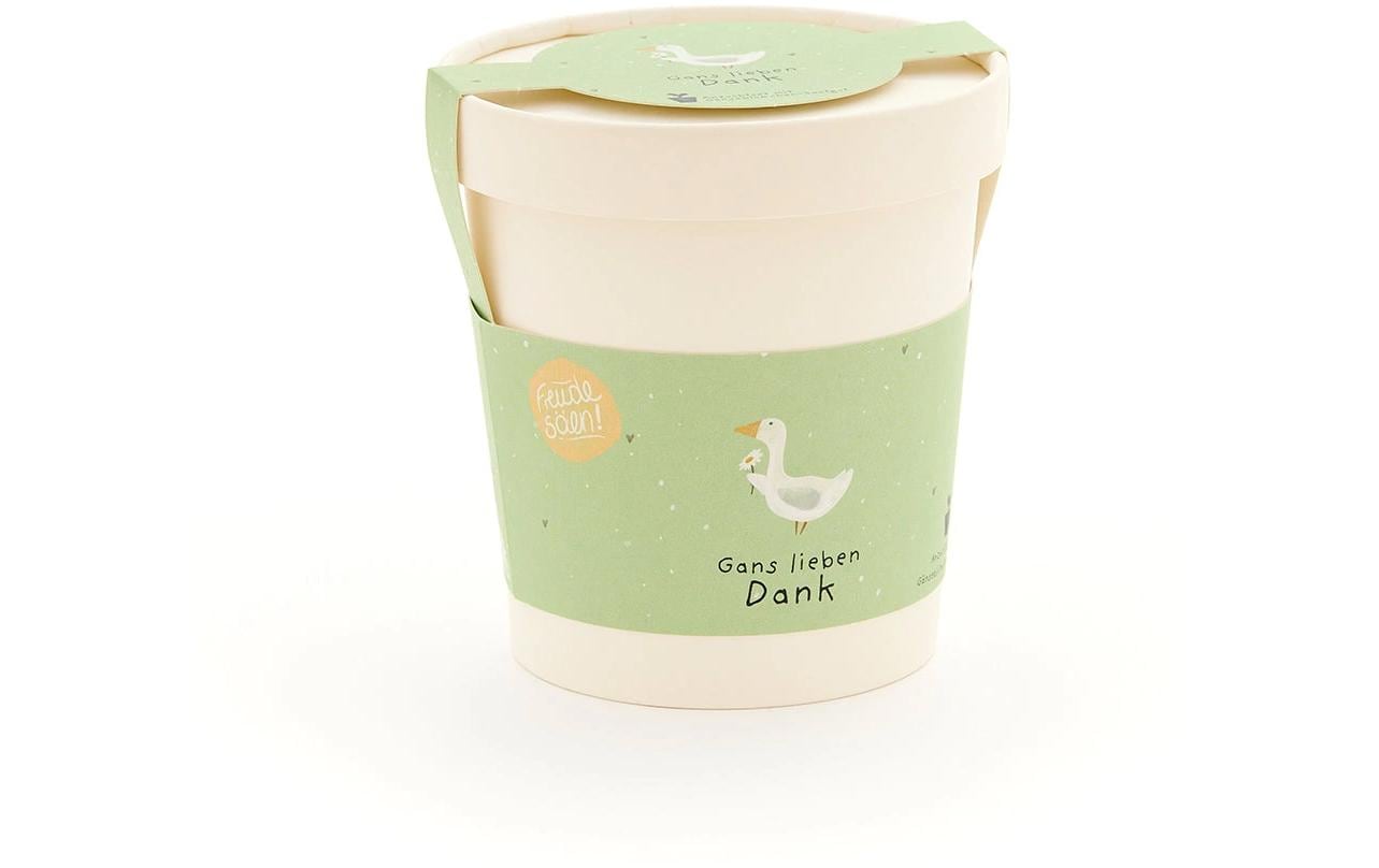 Die stadtgärtner Blumengruss-Becher – Danke – Mehrfarbig