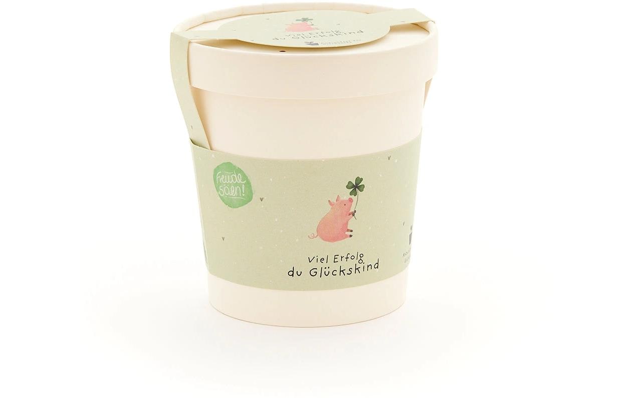 Die stadtgärtner Blumengruss-Becher – Geschenk mit Saatgut – Mehrfarbig