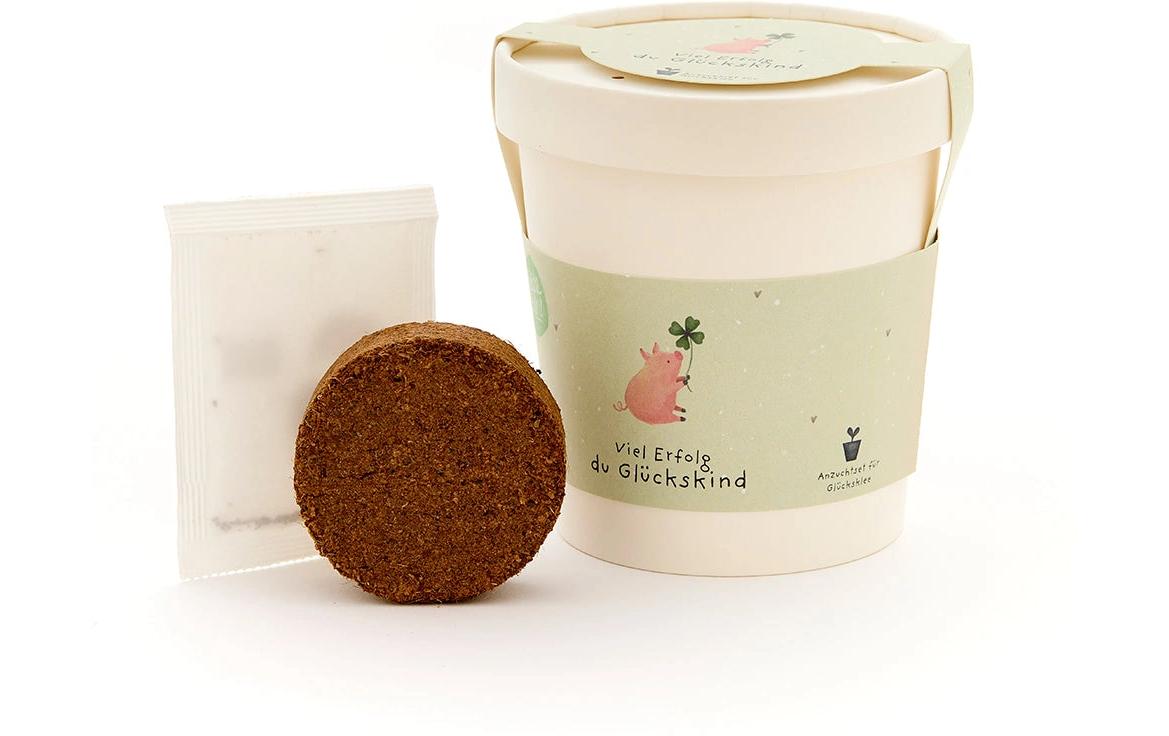 Die stadtgärtner Blumengruss-Becher – Geschenk mit Saatgut – Mehrfarbig