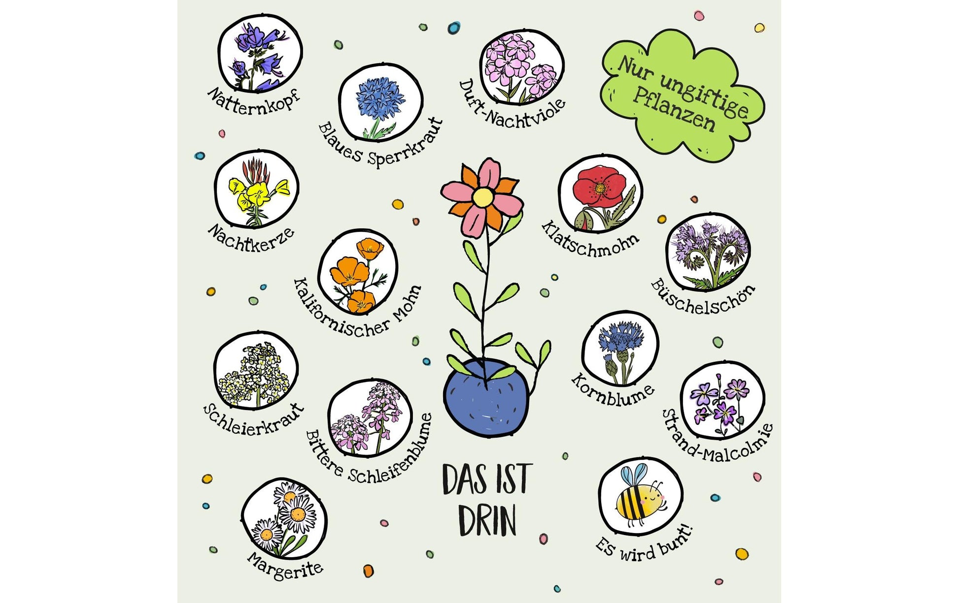 Die stadtgärtner Blumenmurmeln – 25-teilig, Dose – Mehrfarbig