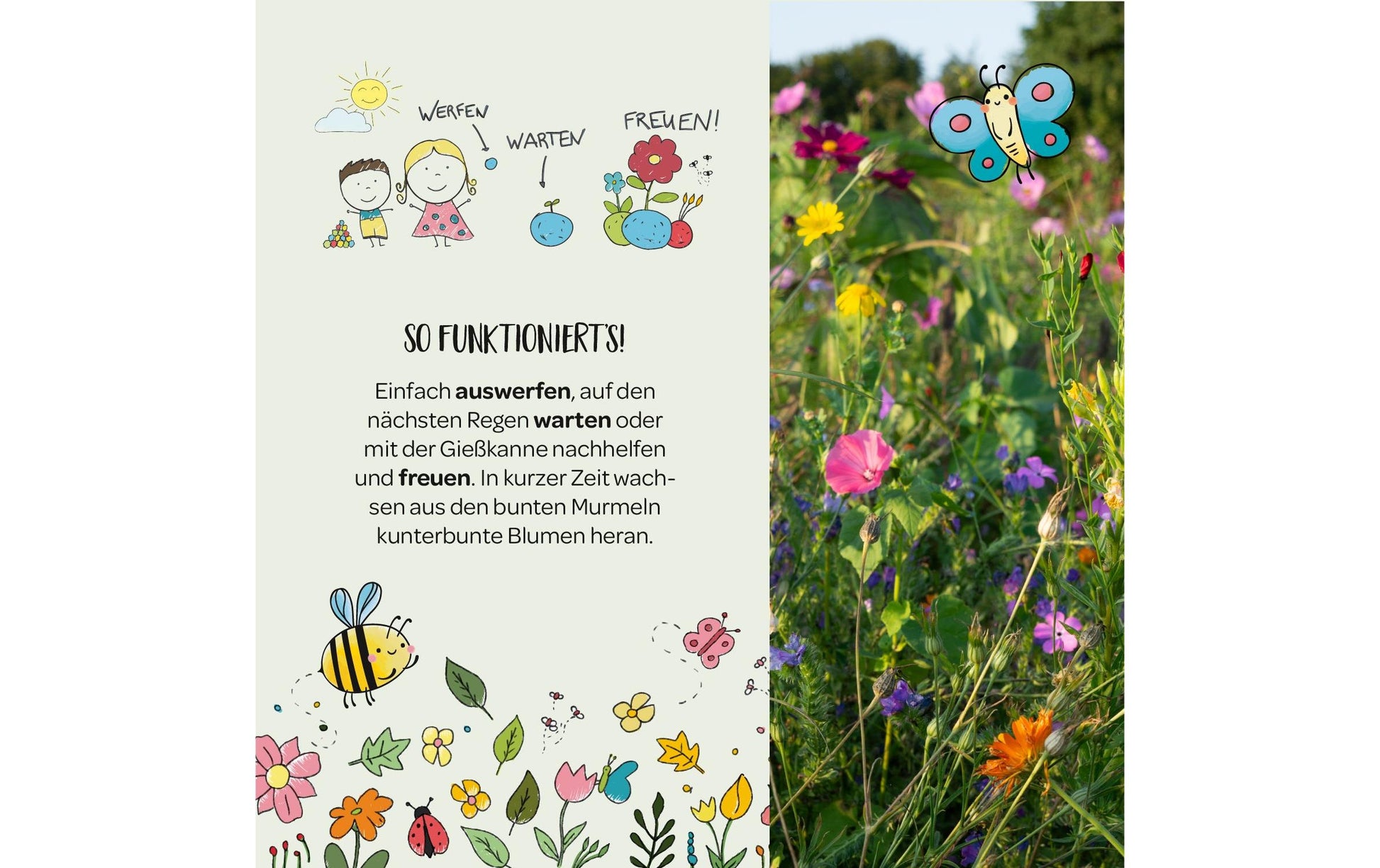 Die stadtgärtner Blumenmurmeln – 25-teilig, Dose – Mehrfarbig