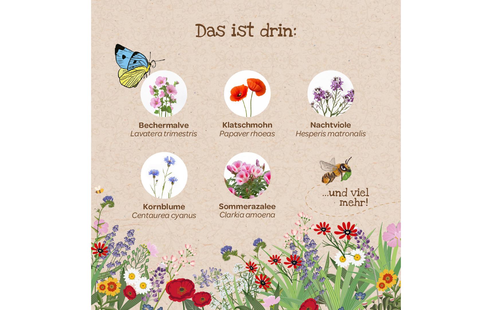 Die stadtgärtner Blütenteppich – Bienenwohl – Pflanzen & Saatgut, Mehrfarbig