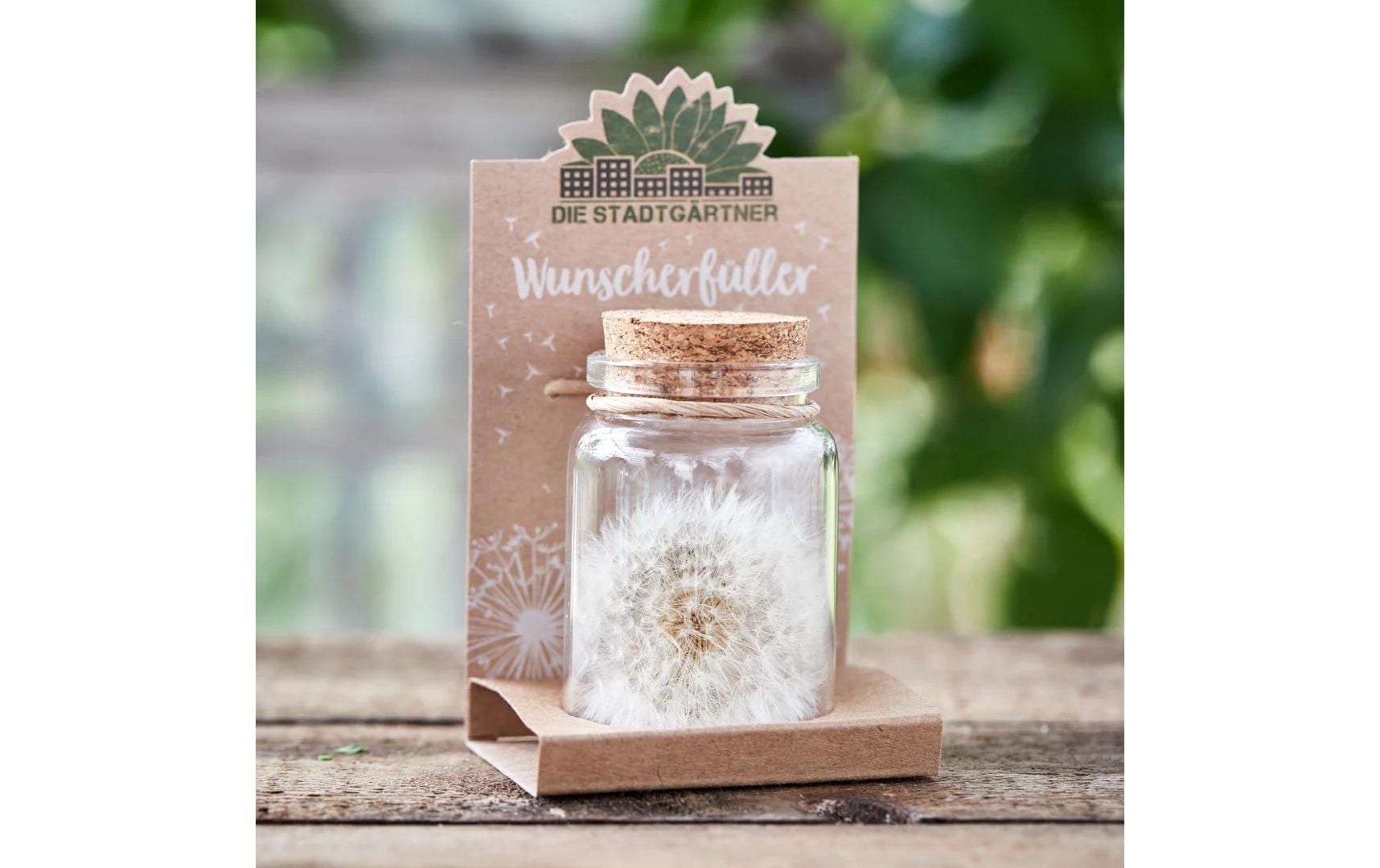 Die stadtgärtner Glückbringer – Motiv Pflanze – Glas & Karton & Pflanzliche Werkstoffe, Beige
