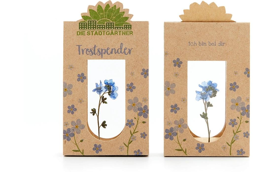 Die stadtgärtner Die Stadtgärtgärtner Trockenblumen – Blume – Mehrfarbig