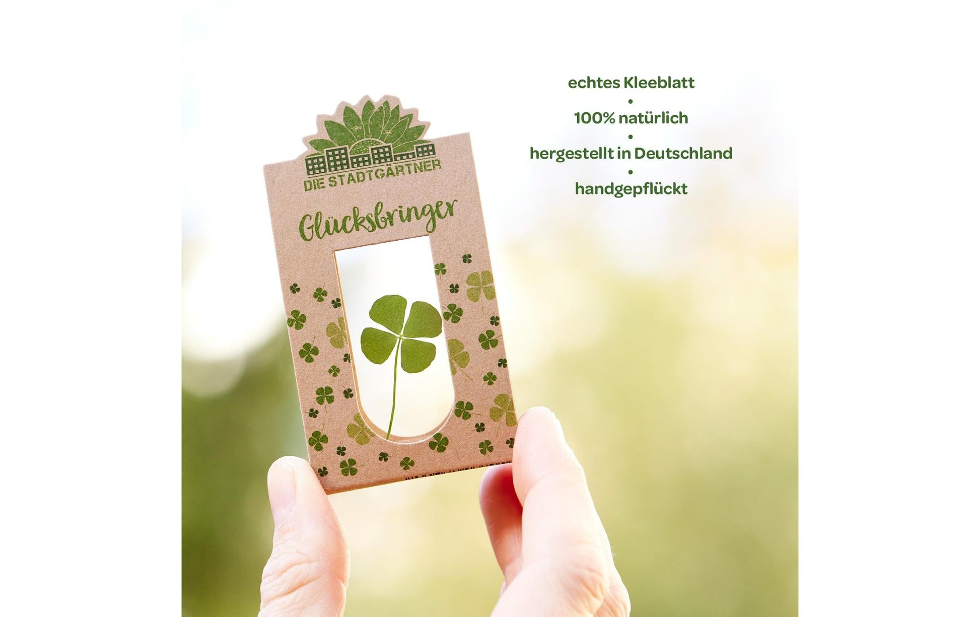 Die stadtgärtner Glücksbringer – Kleeblatt – Glas & Pappe, Mehrfarbig