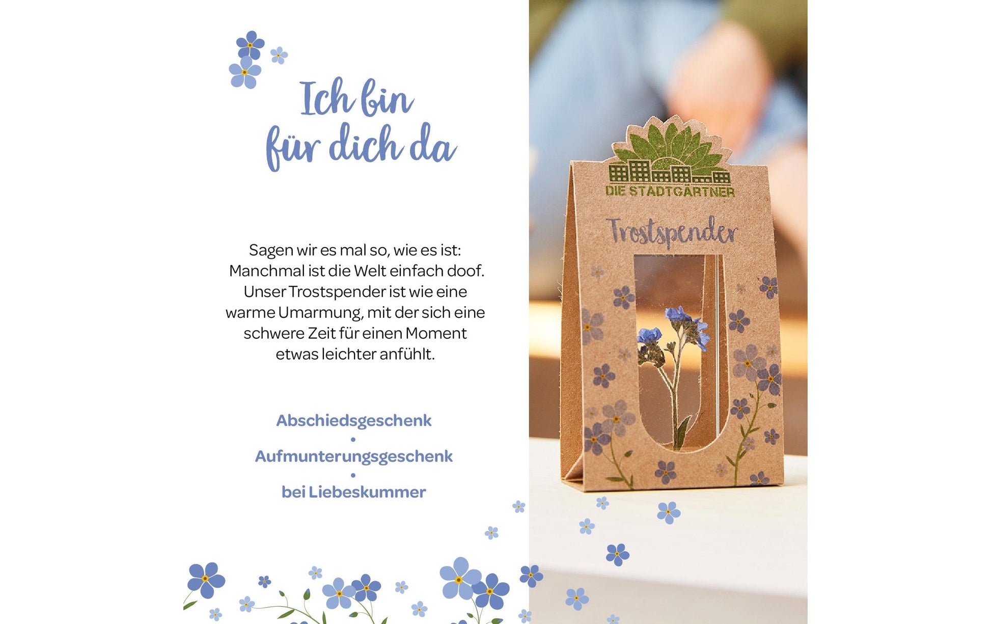 Die stadtgärtner Die Stadtgärtgärtner Trockenblumen – Blume – Mehrfarbig