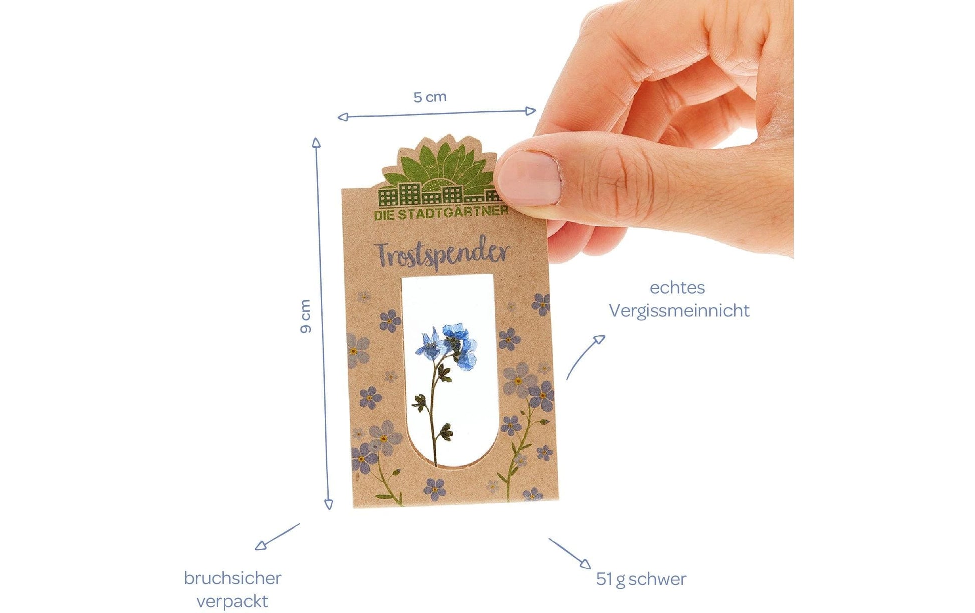 Die stadtgärtner Die Stadtgärtgärtner Trockenblumen – Blume – Mehrfarbig