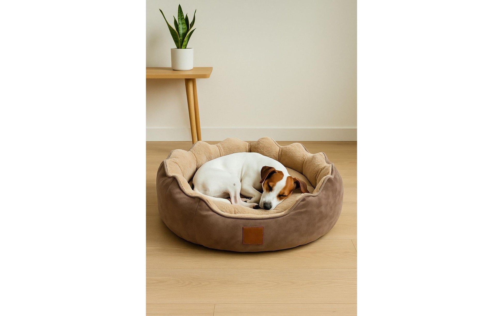 Paws & Whiskers – Rundes Haustierbett – 38 × 44 × 14 cm, Polyester, Braun