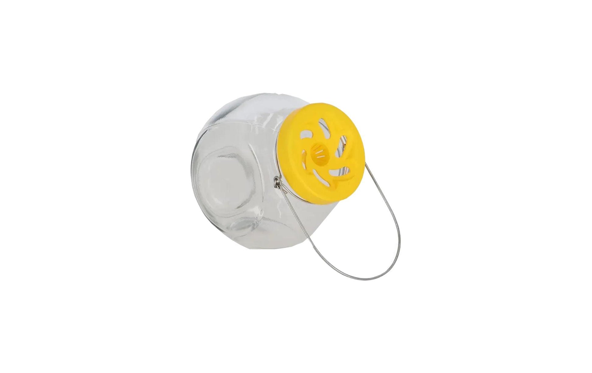 Esschert Design Insektenfalle – 9,5 × 12,7 × 15 cm – transparent – Glas – für Hornissen