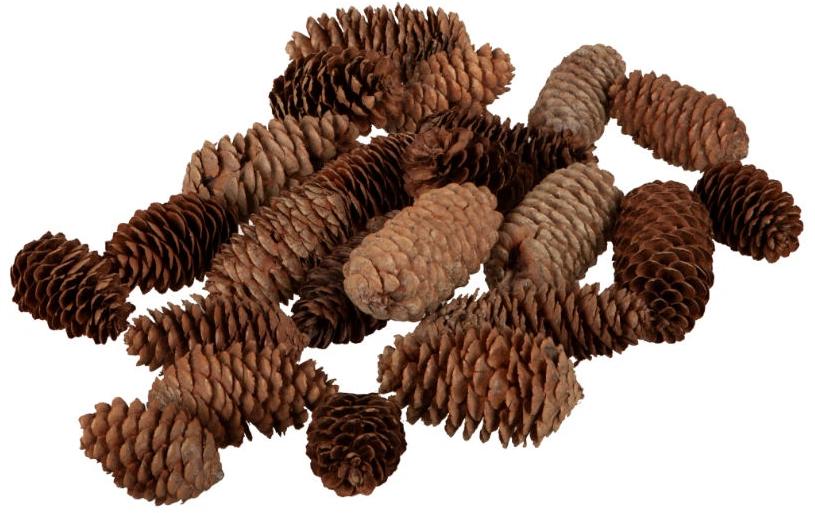 Dekomat ag Tannenzapfen – 200 g, ca. 7–10 cm – Natur, braun
