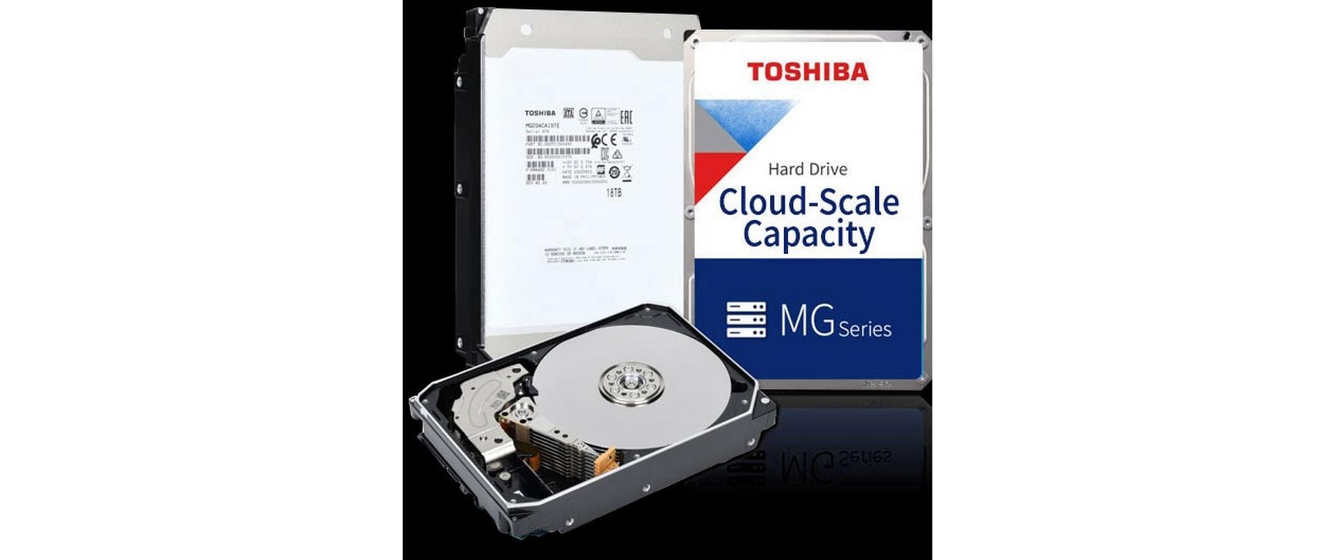 Toshiba MG11ACA 22 TB – 3,5" SATA III (6Gb/s), 7200 U/min, 1 GB Cache