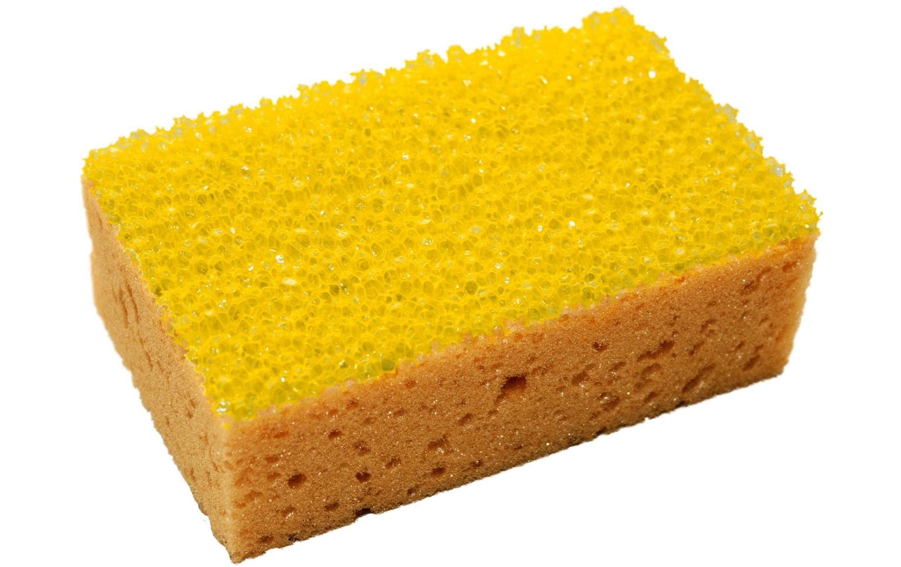 TopLine Schwamm Hart-/Weichschaum – für Insekten – 14 × 10 × 5 cm – 20 g