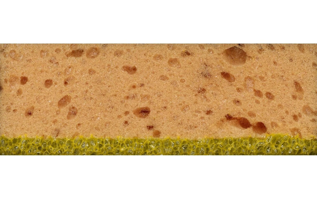 TopLine Schwamm Hart-/Weichschaum – für Insekten – 14 × 10 × 5 cm – 20 g