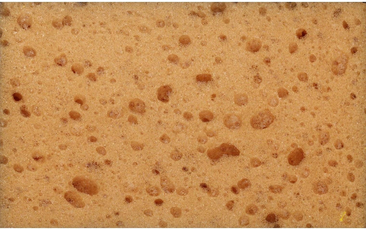 TopLine Schwamm Hart-/Weichschaum – für Insekten – 14 × 10 × 5 cm – 20 g
