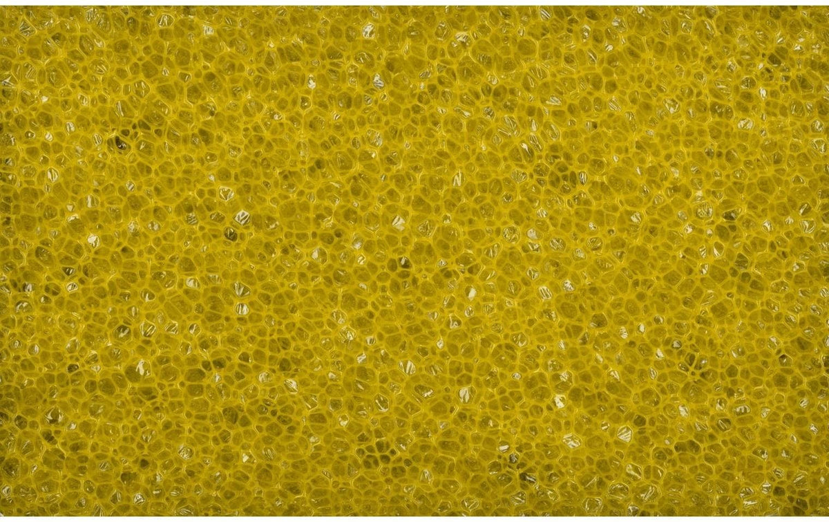 TopLine Schwamm Hart-/Weichschaum – für Insekten – 14 × 10 × 5 cm – 20 g