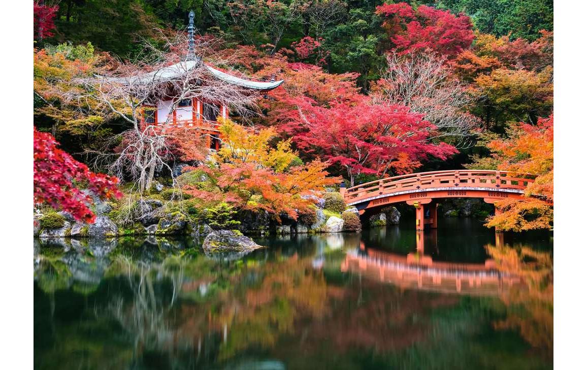 Ravensburger Puzzle Daigo-ji (Kyoto, Japan) – 1000 Teile – 56,4 × 56,4 cm – ab 14 J.