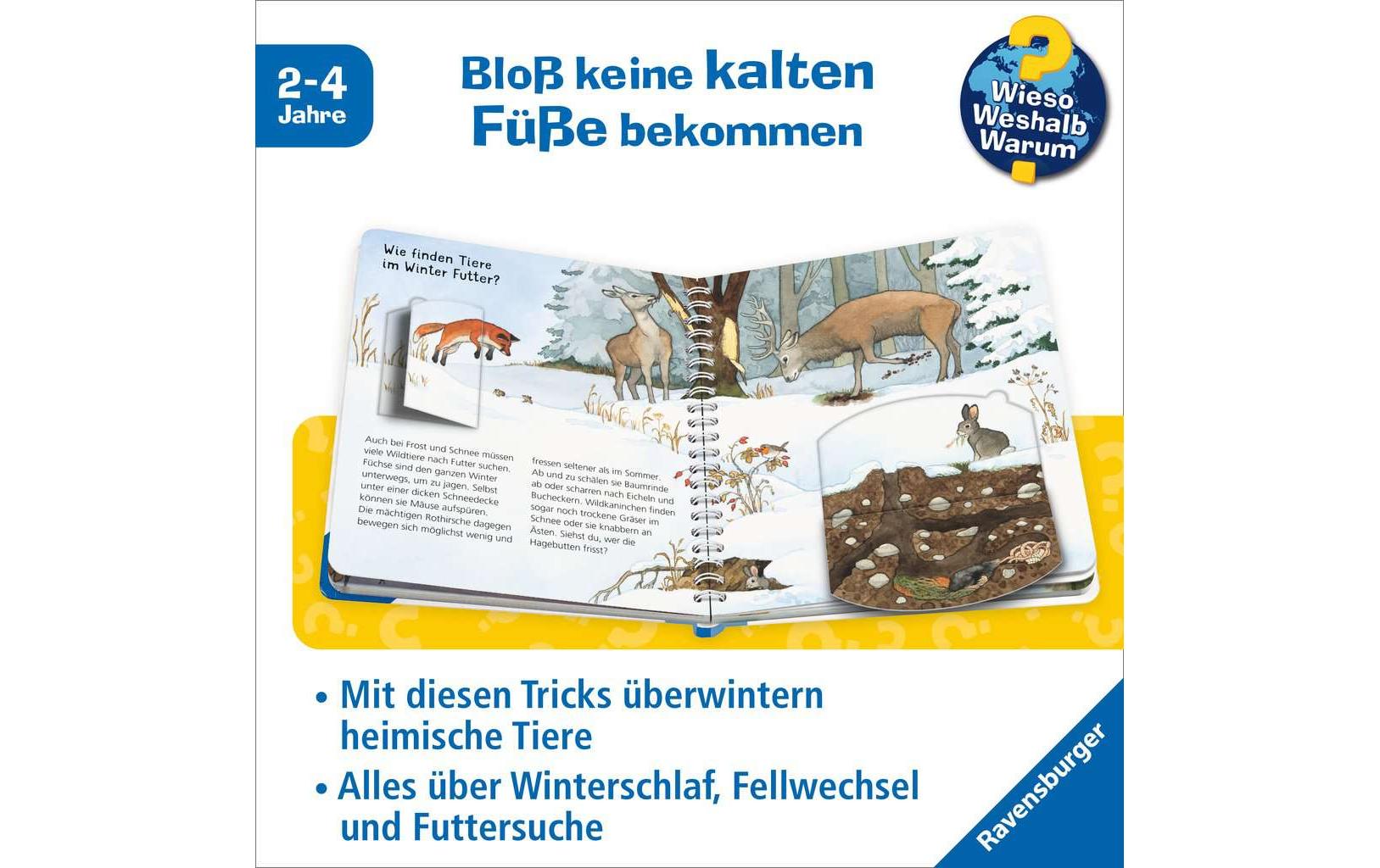 Ravensburger Buch – Wieso? Weshalb? Warum? Tiere im Winter, Pappband, 16 Seiten, Deutsch, ab 2 Jahren