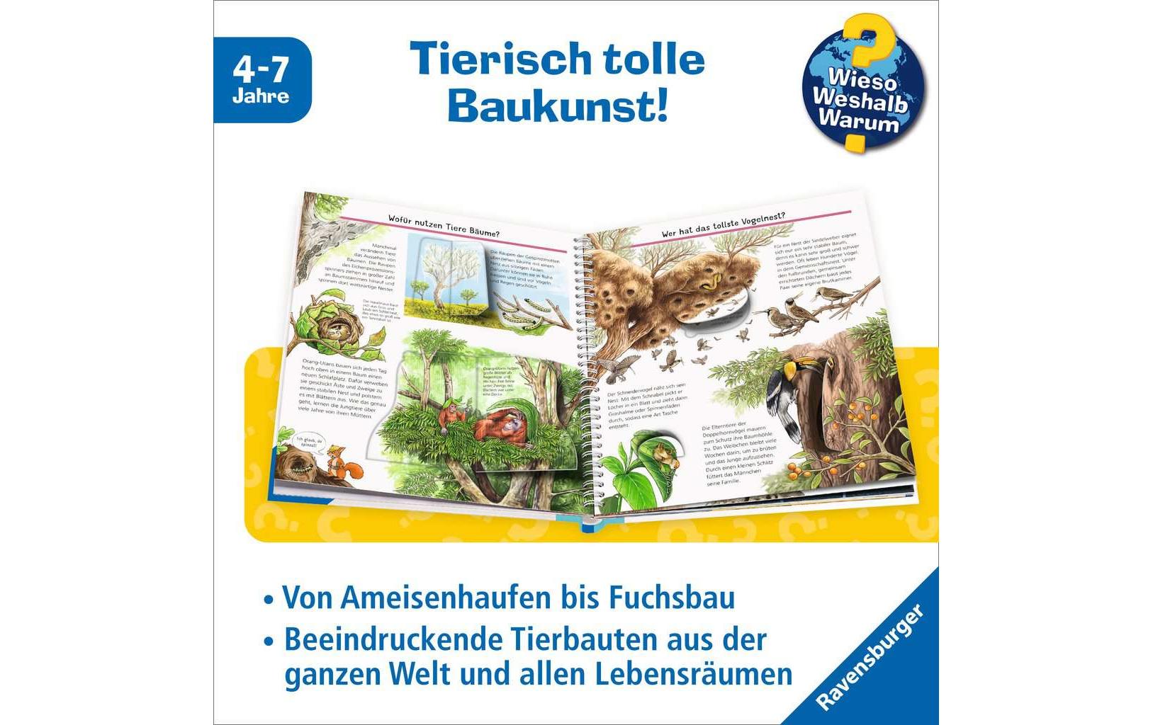 Ravensburger Buch – Wieso? Weshalb? Warum? – Was Tiere alles bauen, Softcover, 16 Seiten, ab 4 Jahren
