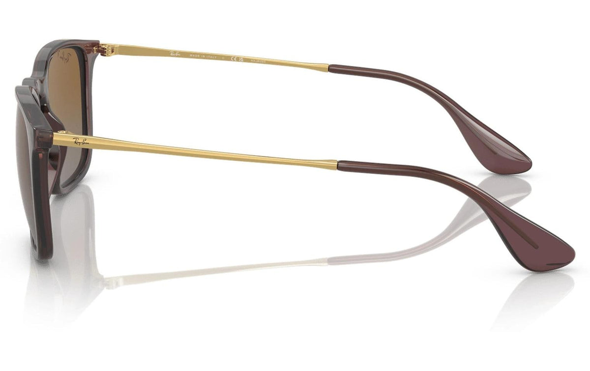 Ray-Ban Schutzbrille CHRIS – Braune Gläser, UV-Schutz