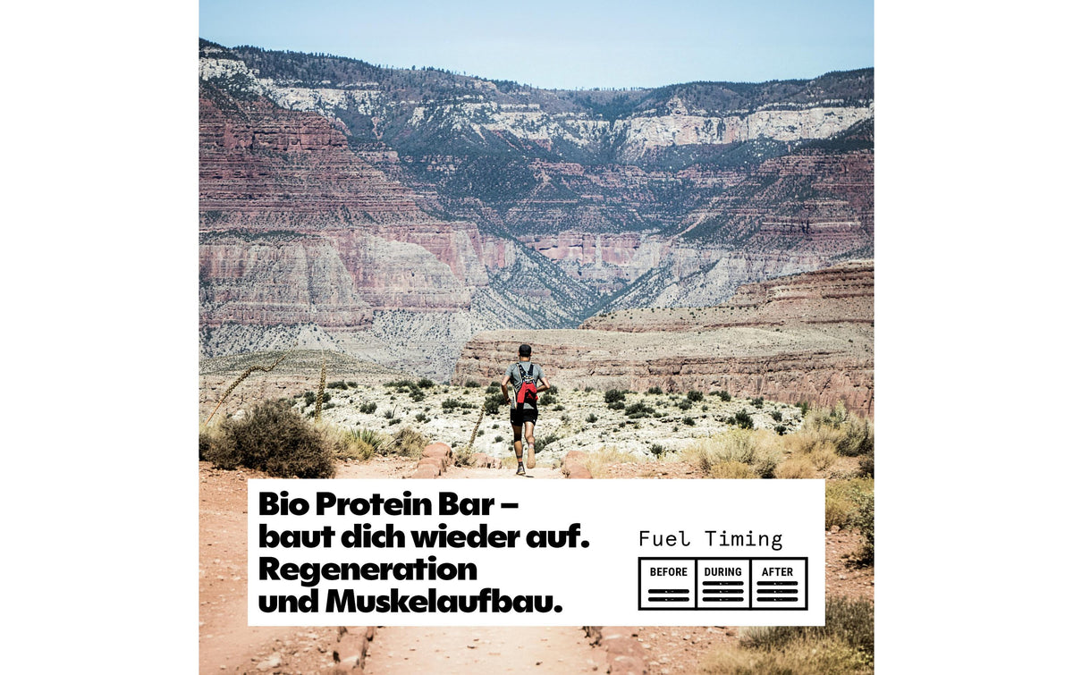 PEAK PUNK Proteinriegel Probierbox – Mix, bio, vegan – 7 × 55 g