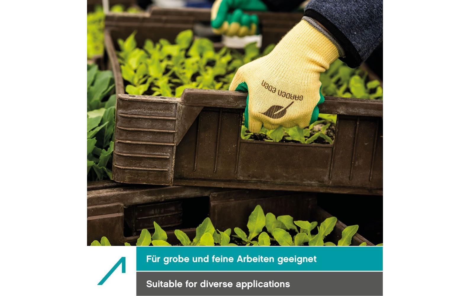 Ace Arbeitshandschuhe – Grösse 11, 3 Paar – Latex, Grün