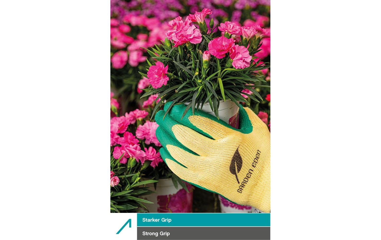 Ace Arbeitshandschuhe – Grösse 11, 3 Paar – Latex, Grün