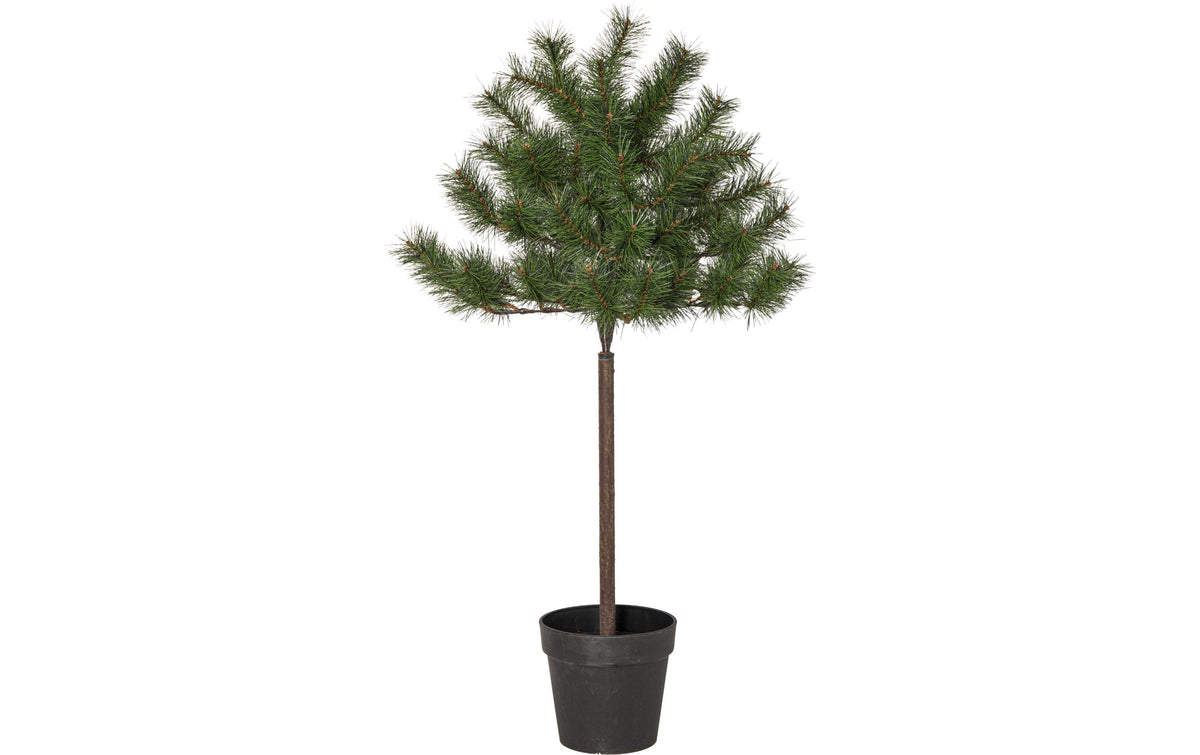 Star Trading Tallis Weihnachtsbaum – 100 × 58 cm – grün