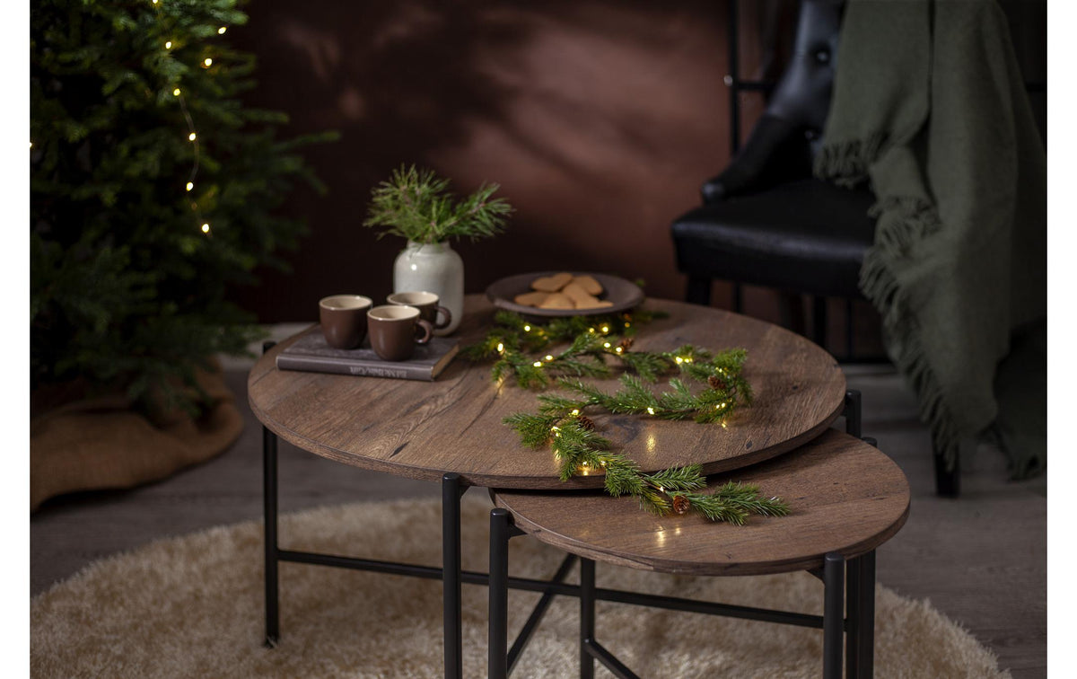 Star Trading Lichterkette Eira – Starterset, 150 cm, Warmweiss, Batteriebetrieb, 30 Lämpchen, Grün