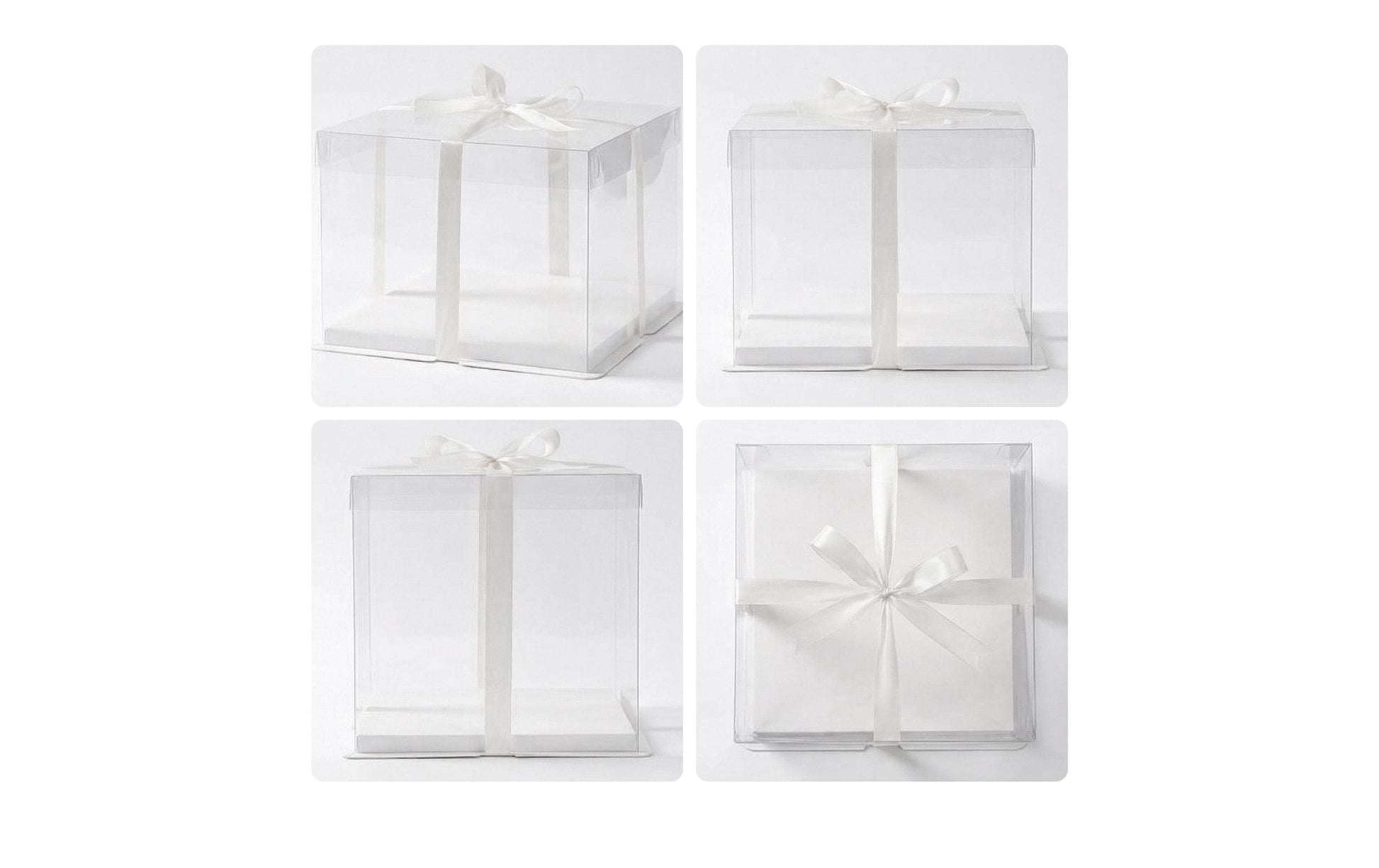 Relaxdays Tortenbox 30 × 30 × 30 cm, Kunststoff/Pappe/Polyester, Transparent/Weiss, 2 Stk.