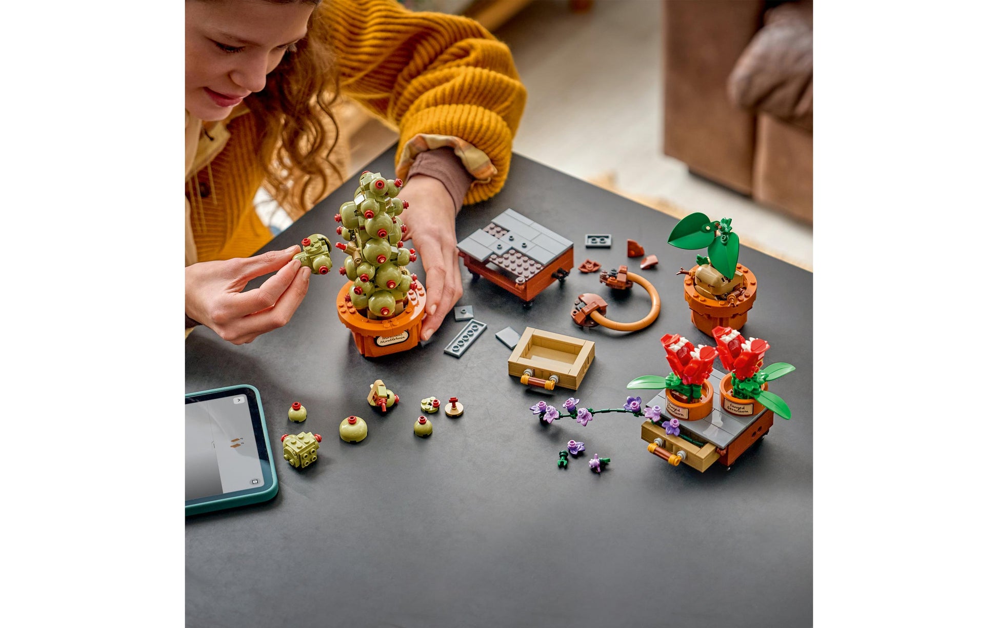 LEGO 3D Puzzle Schloss Hogwarts – Kräuterkunde-Pflanzen – 817 Teile – ab 12 Jahren