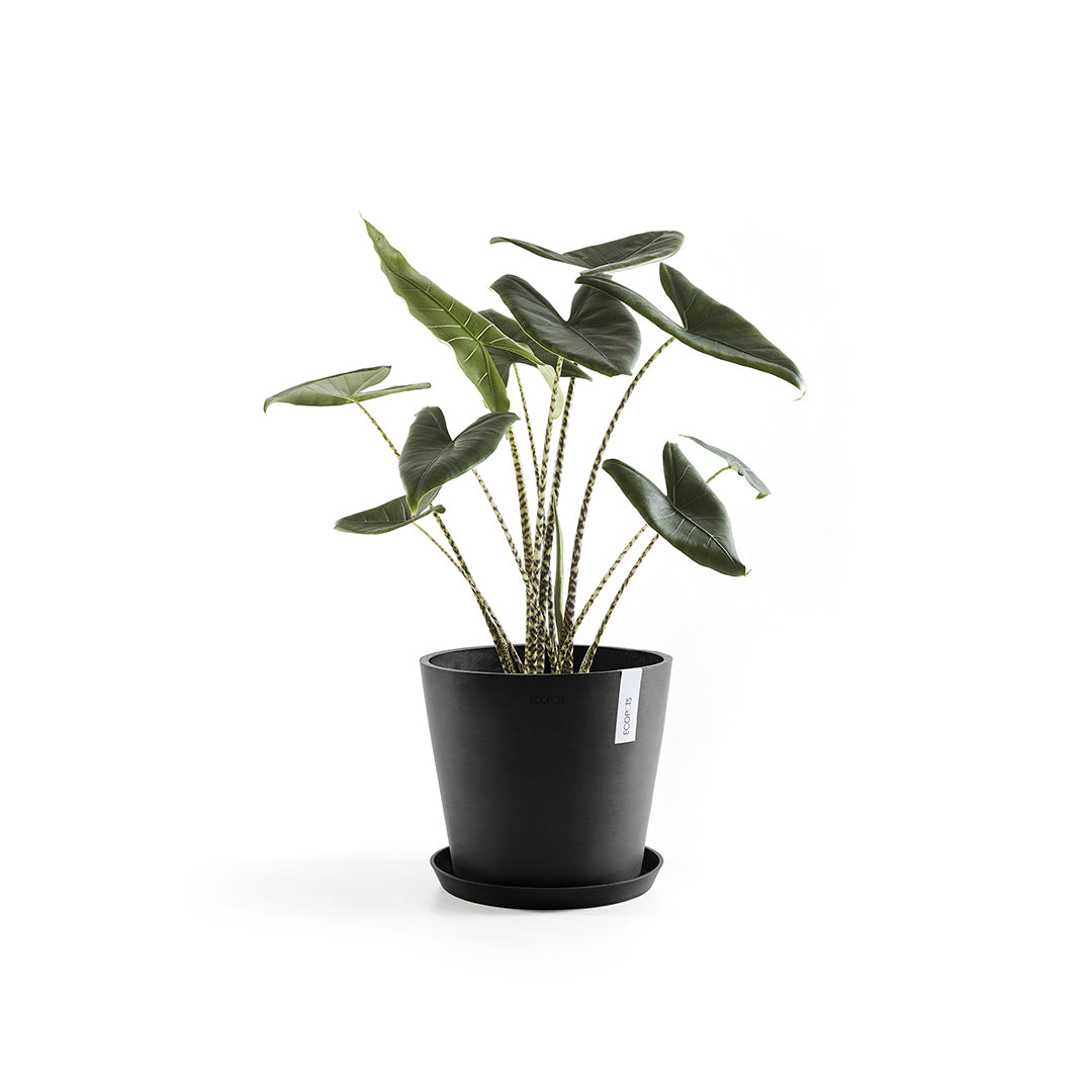 Ecopots Unterteller – Recycling-Kunststoff, Anthrazit – Ø 36,5 × 3,5 cm