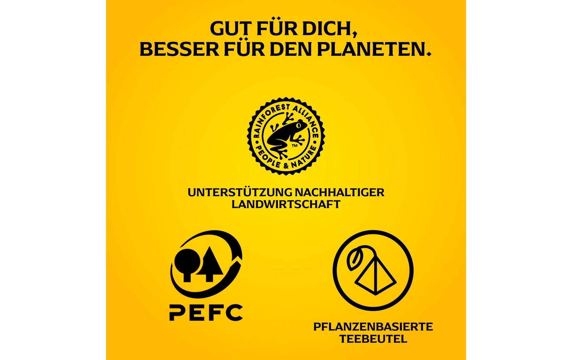 Lipton Schwarztee Tropische Früchte – Teebeutel 20 Beutel