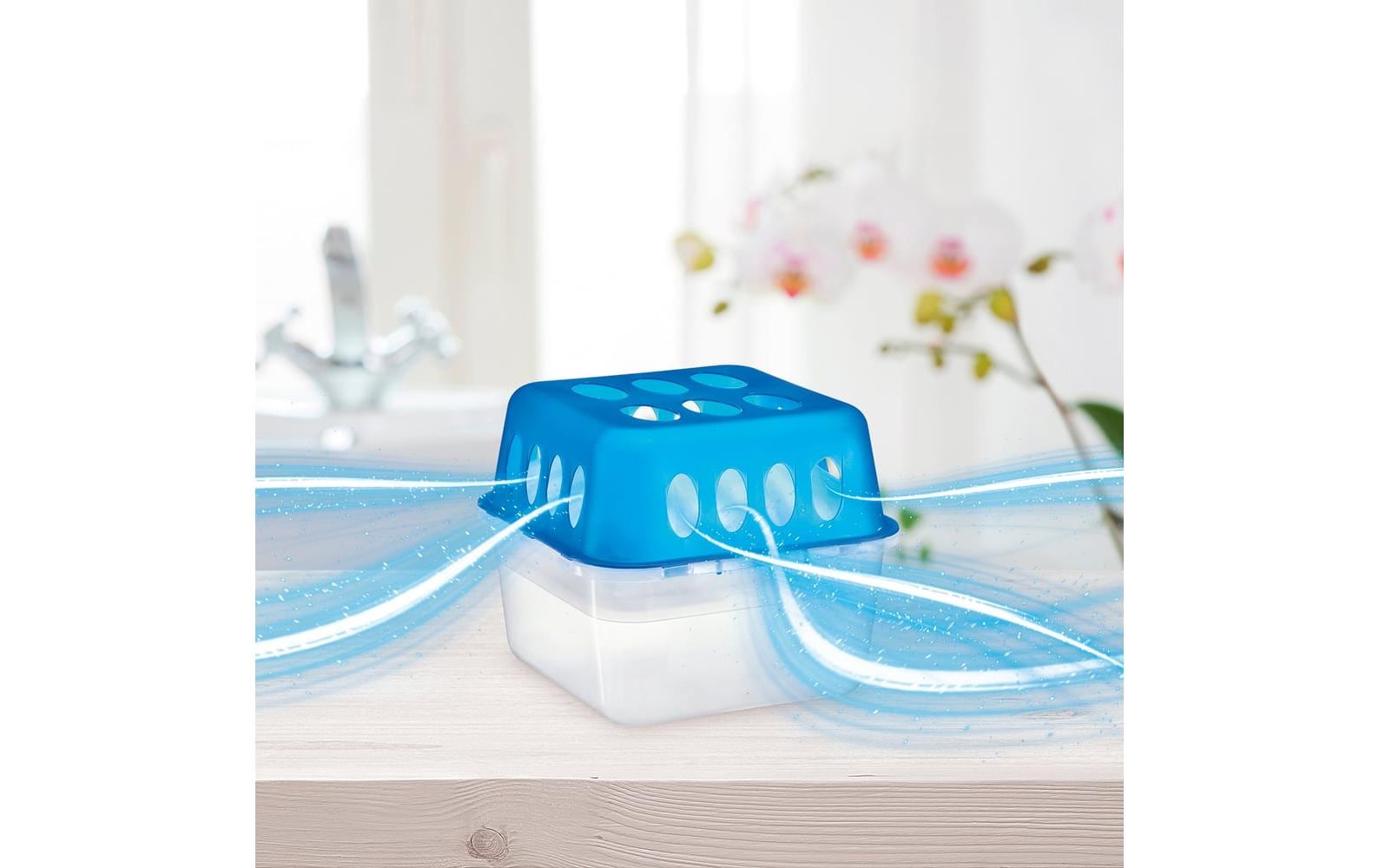 Easymaxx Luftentfeuchter Set 6-teilig