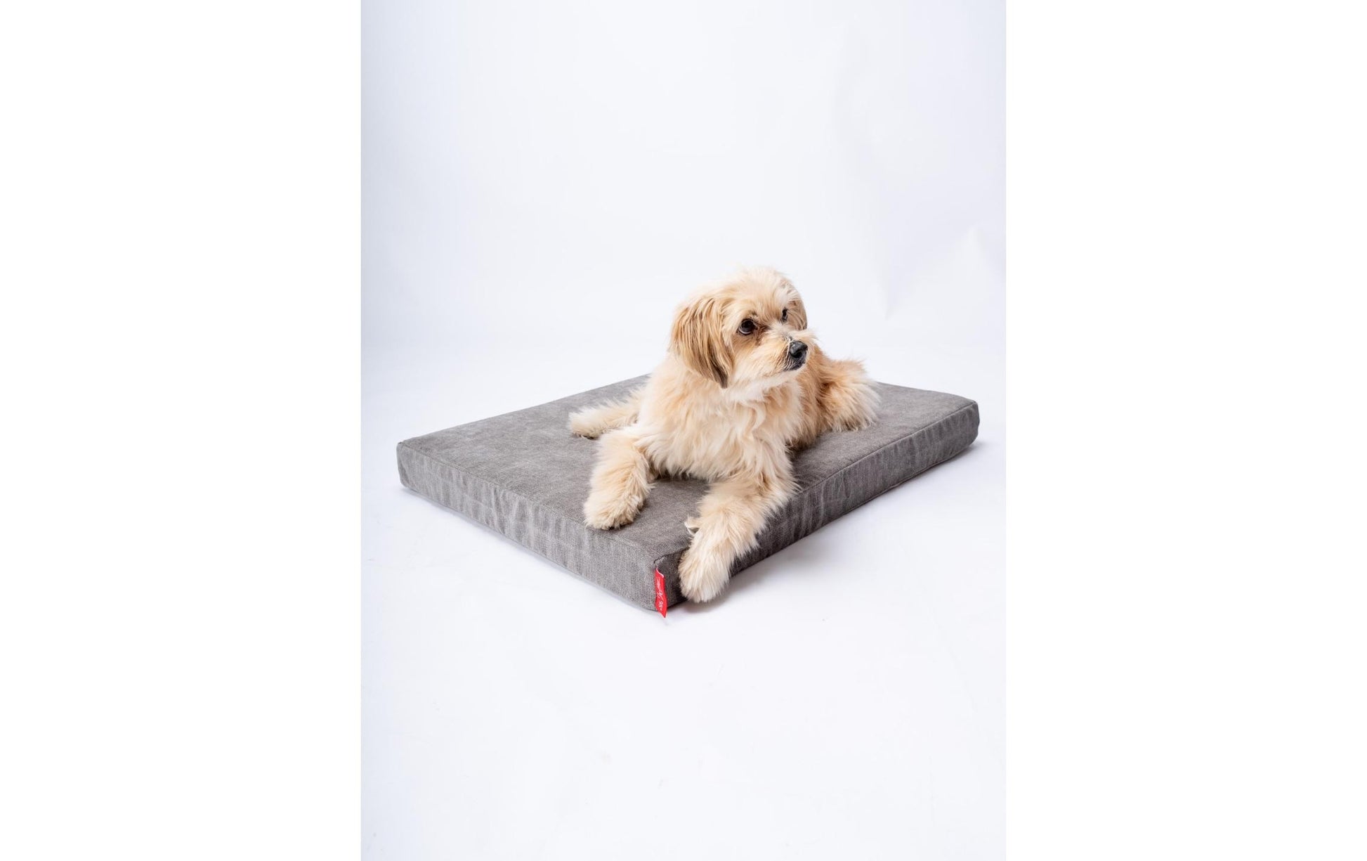 TrendPet – VitaMedog 95°C XS Sitzkissen – 45 × 60 × 7 cm, Abnehmbarer Bezug, Grau