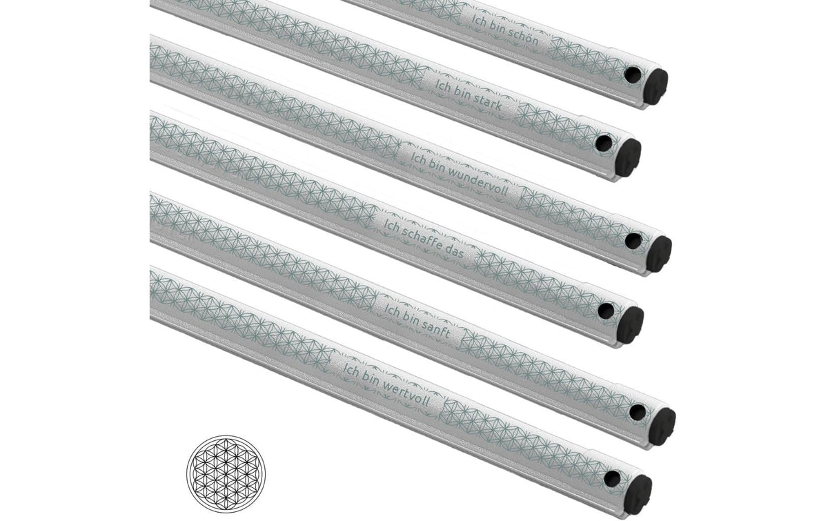 Böörds Utensilienhalter (wandmontiert), Kunststoff, grau, 6 Stk.