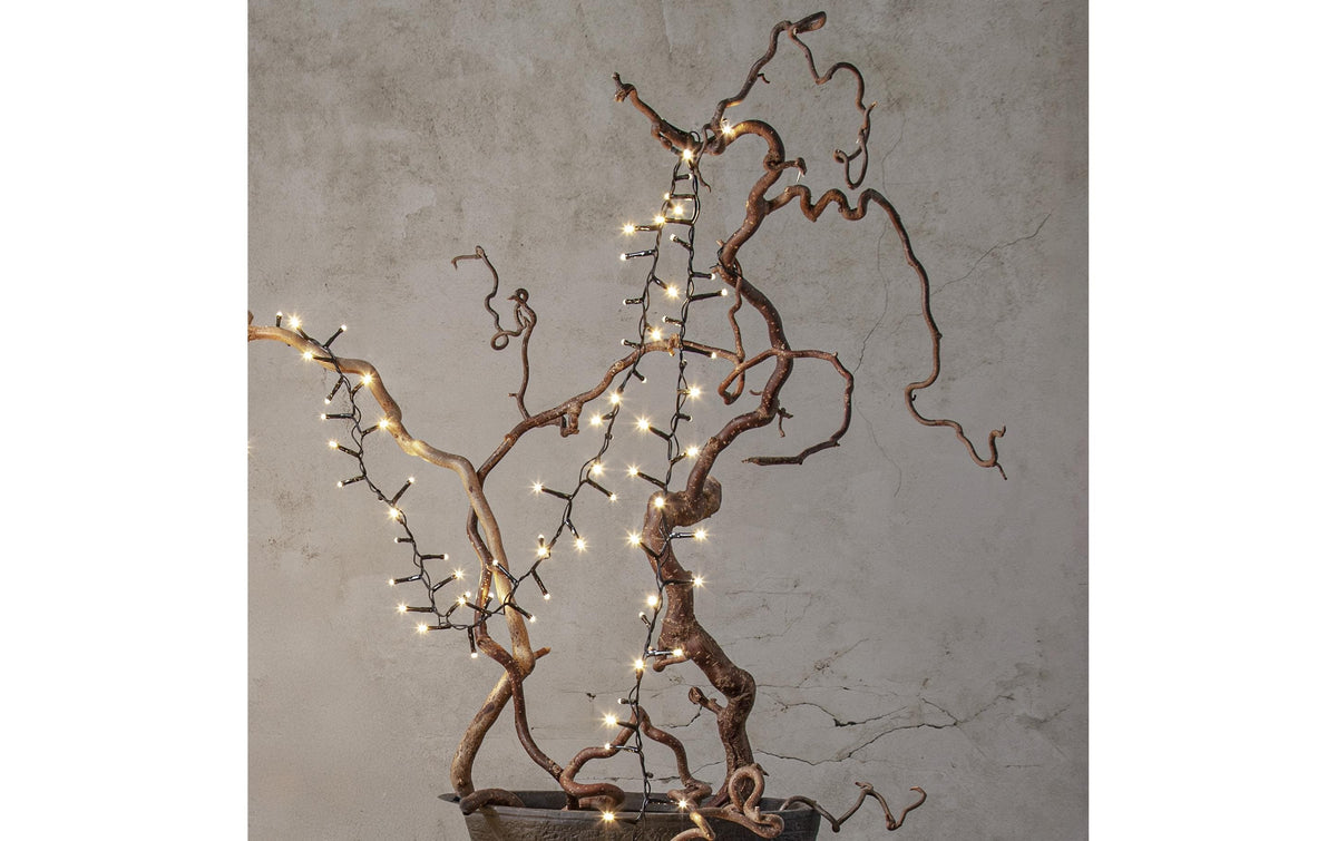Star Trading Lichterkette – 5,6 m – 35 lm, Warmweiss – IP44 – Netzbetrieb – Starterset, 80 LEDs – Schwarz