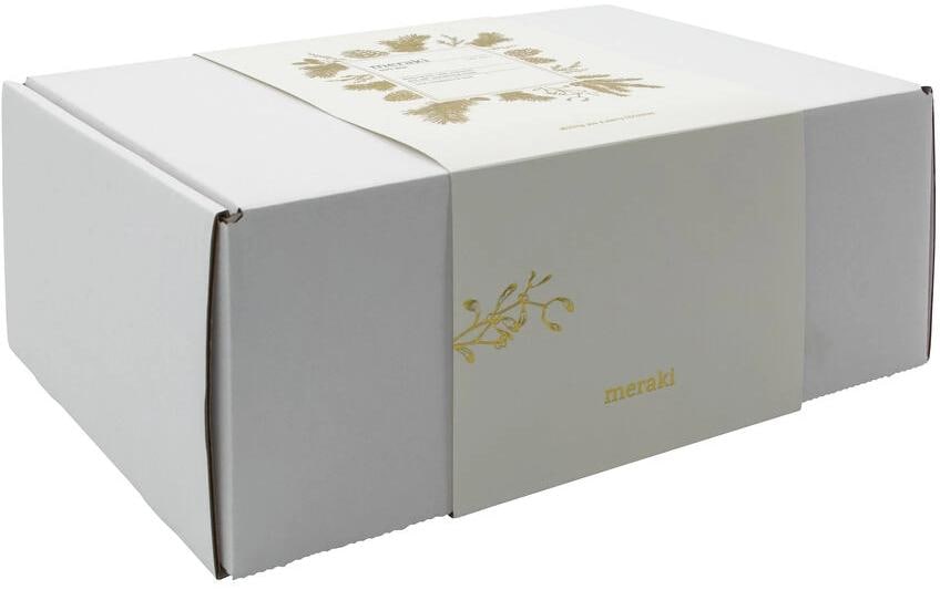Cisco meraki Reinigungsset – Universalreiniger, 1,0 l