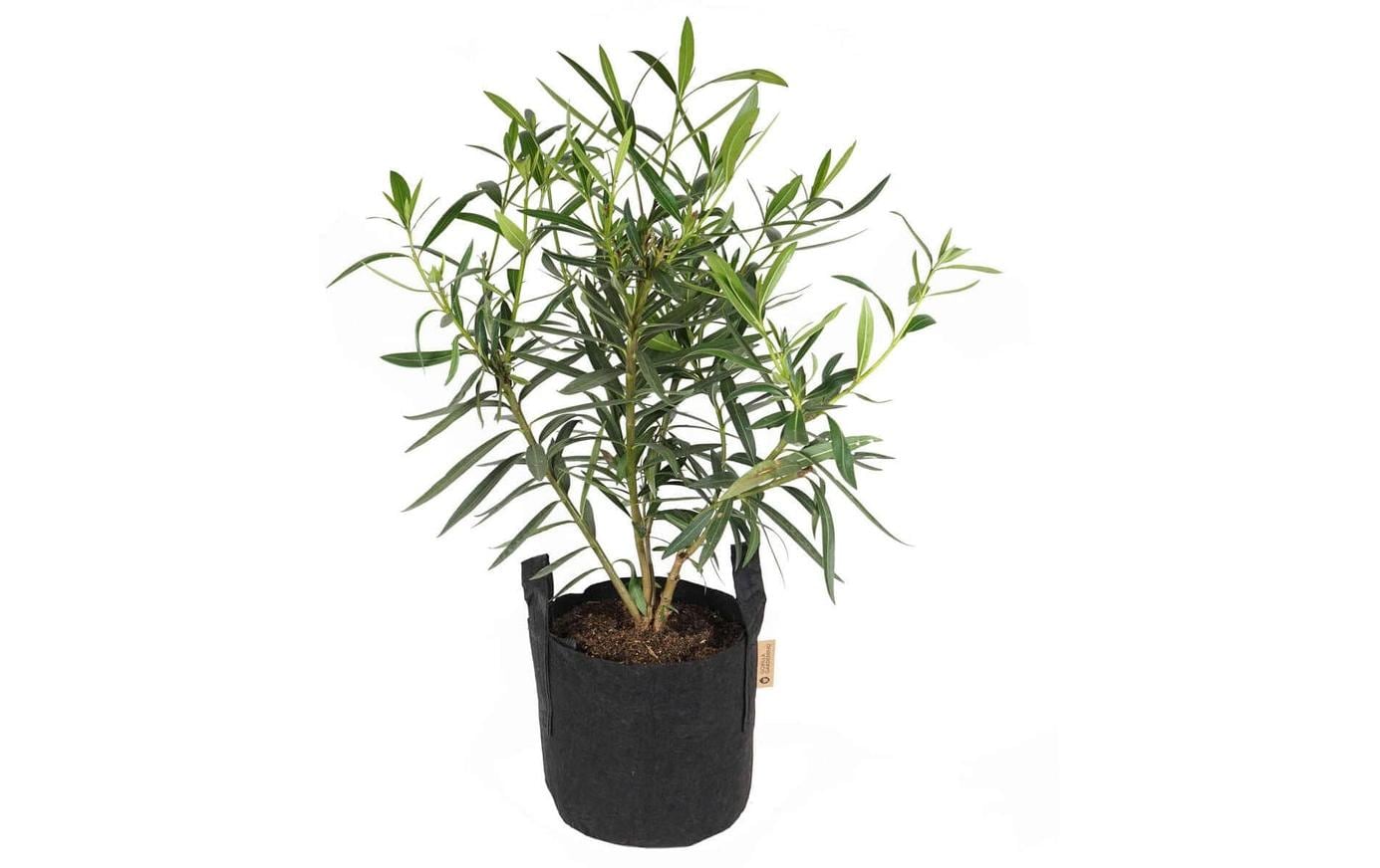 Gorilla gardening Pflanzsack 16 l – Textilgewebe 260 g/m² – Schwarz