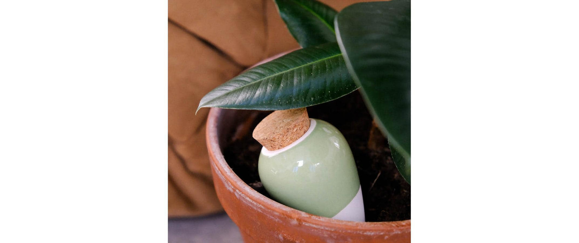 Gorilla gardening PepinOlla Topf-Bewässerungssystem – Ton – Grün/Weiss