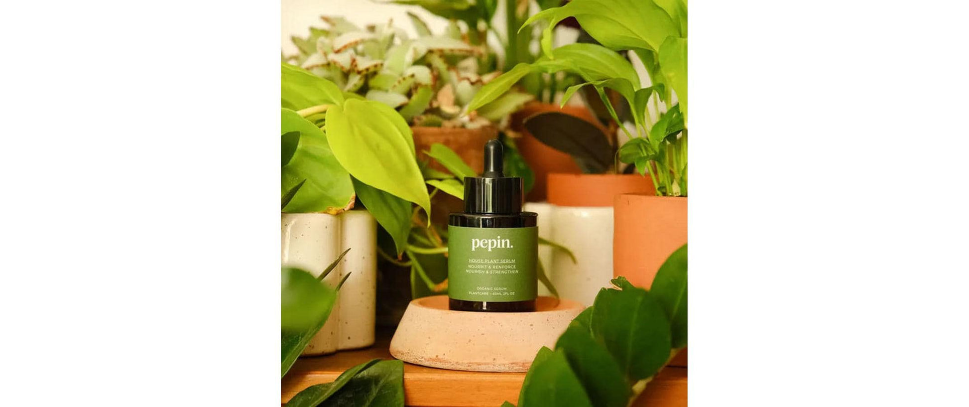 Gorilla gardening Flüssigdünger – 60 ml, Bio, für Zimmerpflanzen