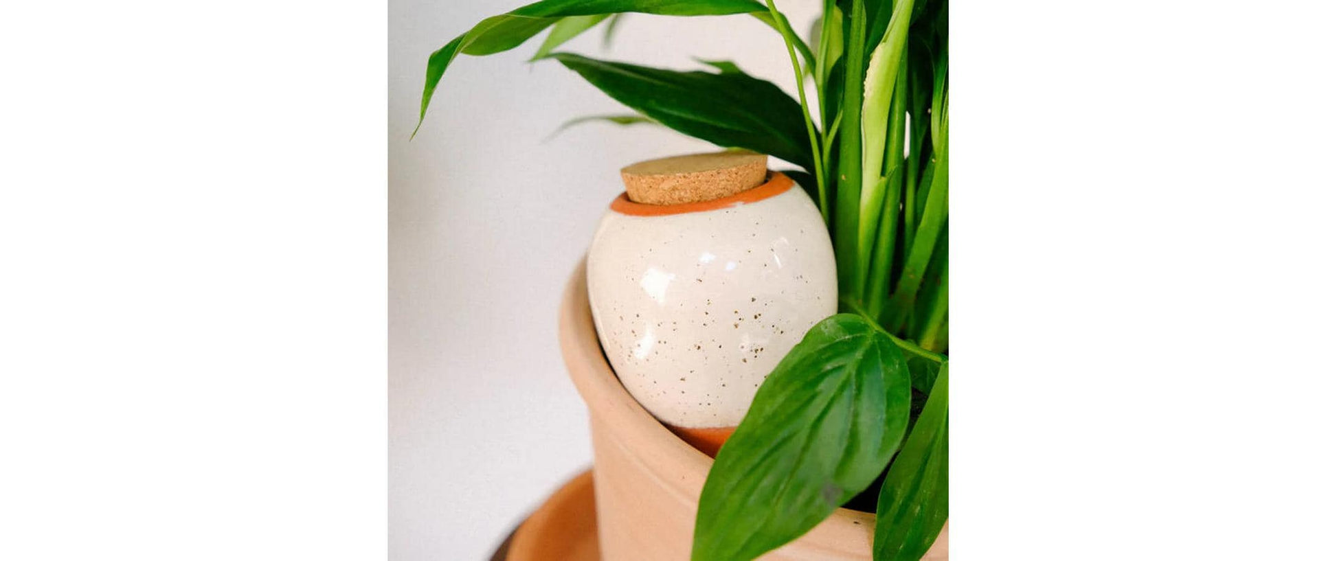 Gorilla gardening Olla Bewässerungssystem – Ton – Braun/Orange – für Zimmer- und Topfpflanzen – Ø 80 × H 170 mm