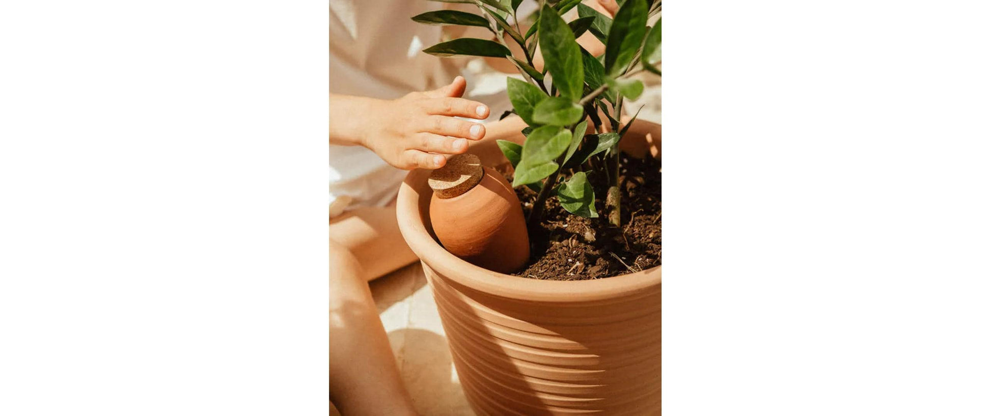 Gorilla gardening Olla Bewässerungssystem – Ø 9,5 × 17 cm – Ton, Braun