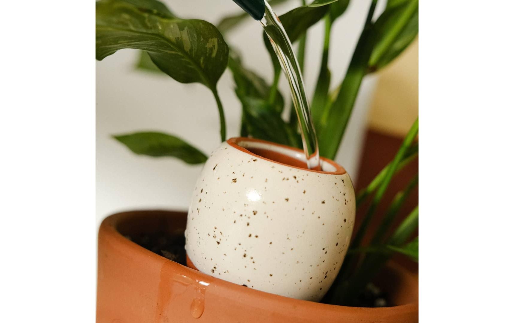 Gorilla gardening Trio Mini Ollas – Keramik/Kork – braun/weiss – für Töpfe Ø ≤150 mm
